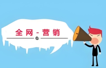 全网营销推广通过全方位的覆盖和精准的定位，帮助企业实现品牌与消费者之间的深度互动与连接